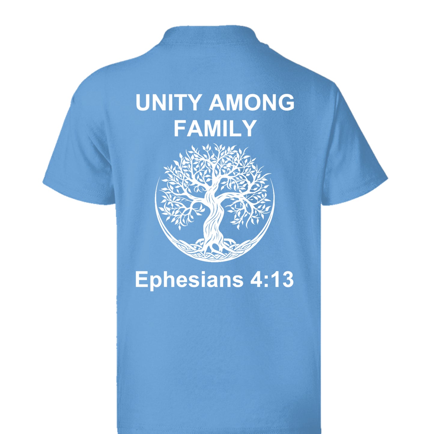 CAROLINA BLUE - 5370 - BACK